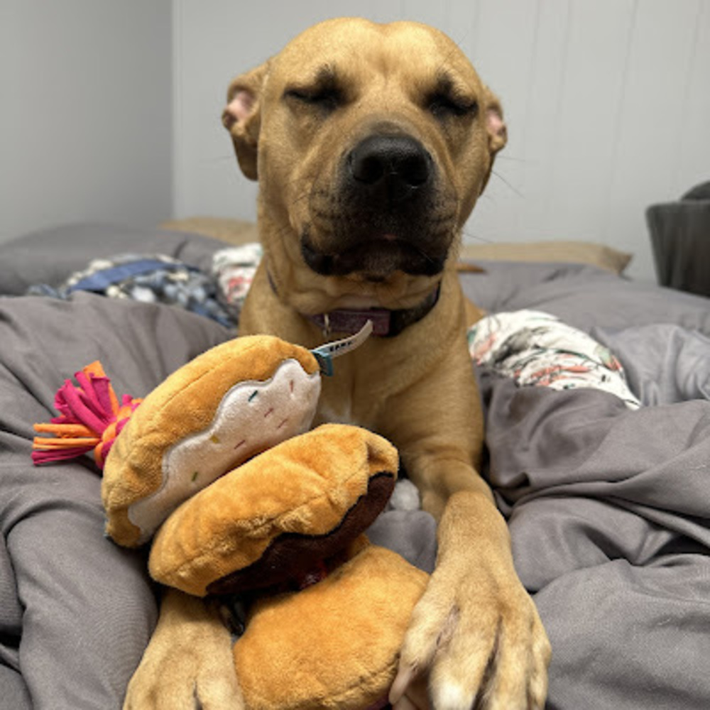 Meet your Posher, Christopher